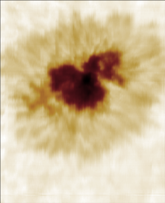 20240817_173310.376_cont