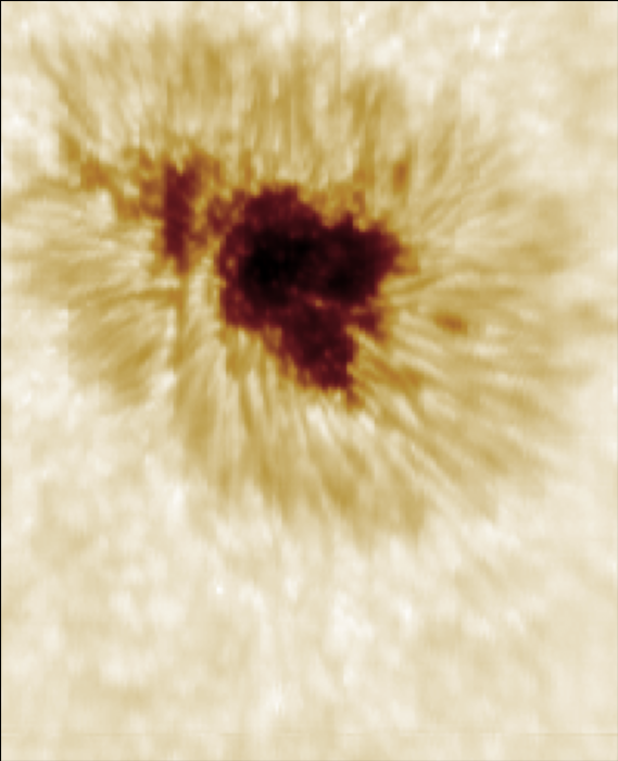 20240818_191815.607_cont