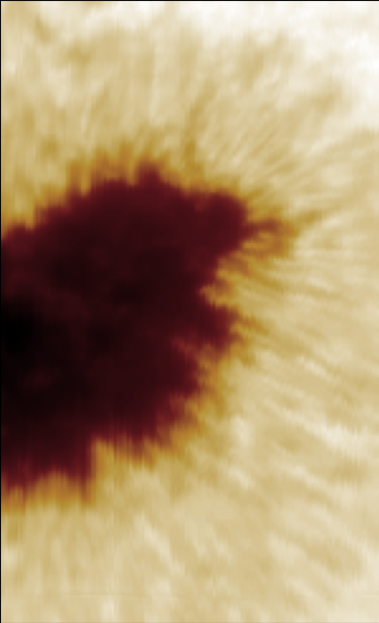 20240824_195048.849_cont