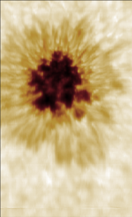20240825_205126.811_cont