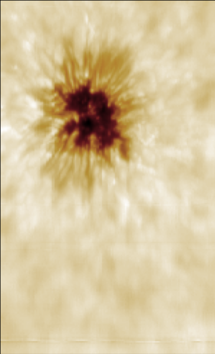 20240828_210128.673_cont