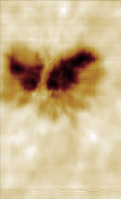 20240831_185315.661_cont